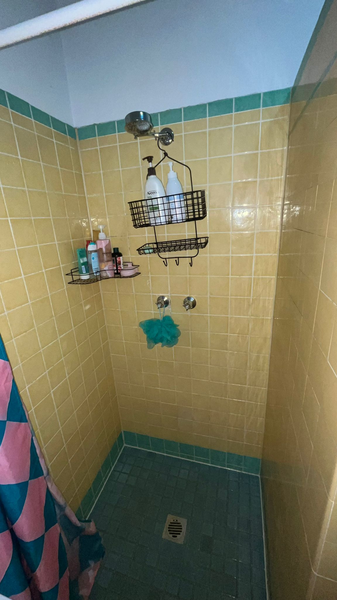 Bathroom after regular clean — Collaroy
