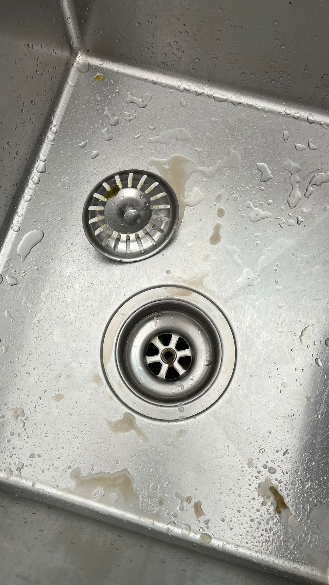 Sink before regular clean — Collaroy