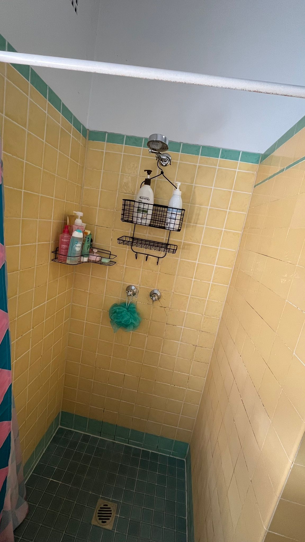 Bathroom before regular clean — Collaroy